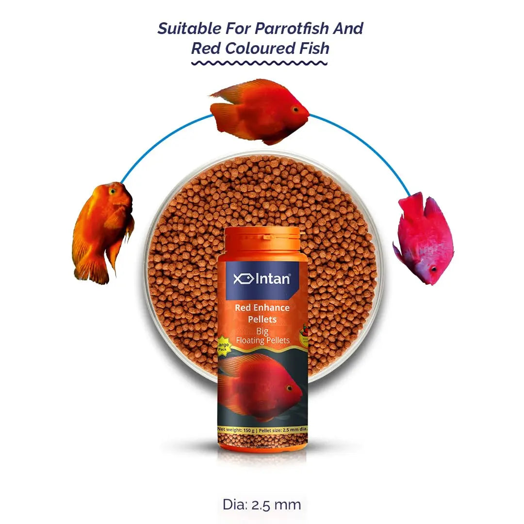 Intan Red Enhance Pellets (Big 2.5mm Floating) | 150gm - Highly Nutritious Ornamental Fish Food for Parrotfish & Red Coloured Fish | Growel Feeds Intan
