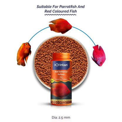 Intan Red Enhance Pellets (Big 2.5mm Floating) | 150gm - Highly Nutritious Ornamental Fish Food for Parrotfish & Red Coloured Fish | Growel Feeds Intan