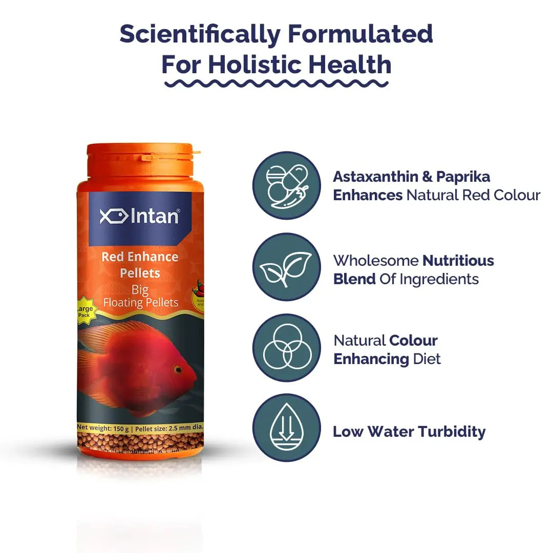 Intan Red Enhance Pellets (Big 2.5mm Floating) | 150gm - Highly Nutritious Ornamental Fish Food for Parrotfish & Red Coloured Fish | Growel Feeds Intan