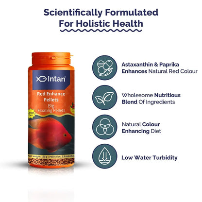 Intan Red Enhance Pellets (Big 2.5mm Floating) | 150gm - Highly Nutritious Ornamental Fish Food for Parrotfish & Red Coloured Fish | Growel Feeds Intan
