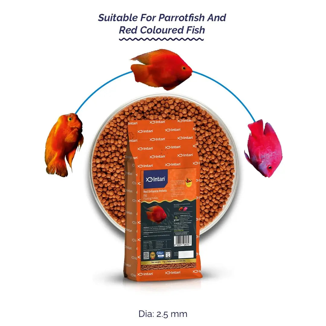 Intan Red Enhance Pellets (Big 2.5mm Floating) | 1Kg - Highly Nutritious Ornamental Fish Food for Parrotfish & Red Coloured Fish | Growel Feeds Intan