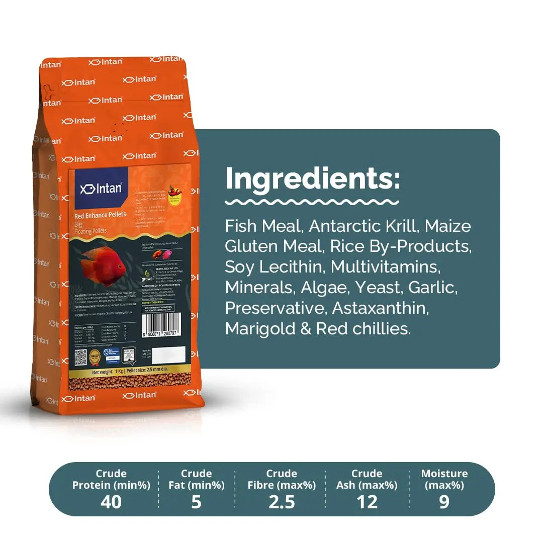 Intan Red Enhance Pellets (Big 2.5mm Floating) | 1Kg - Highly Nutritious Ornamental Fish Food for Parrotfish & Red Coloured Fish | Growel Feeds Intan