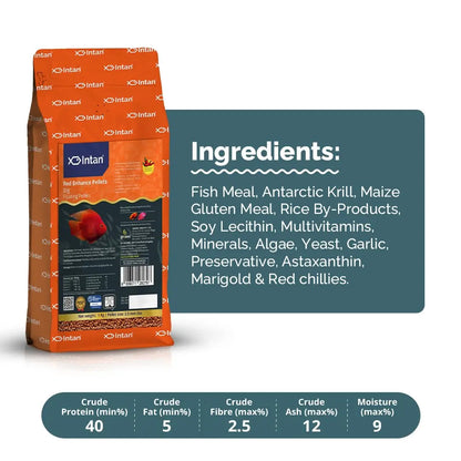 Intan Red Enhance Pellets (Big 2.5mm Floating) | 1Kg - Highly Nutritious Ornamental Fish Food for Parrotfish & Red Coloured Fish | Growel Feeds Intan