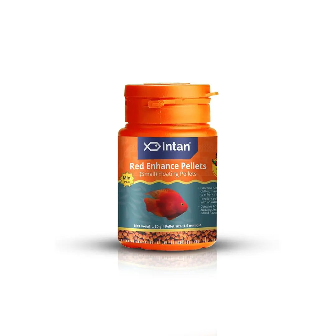 Intan Red Enhance Pellets (Small 1.5mm Floating) | 30gm - Highly Nutritious Ornamental Fish Food for Parrotfish & Red Coloured Fish | Growel Feeds Intan