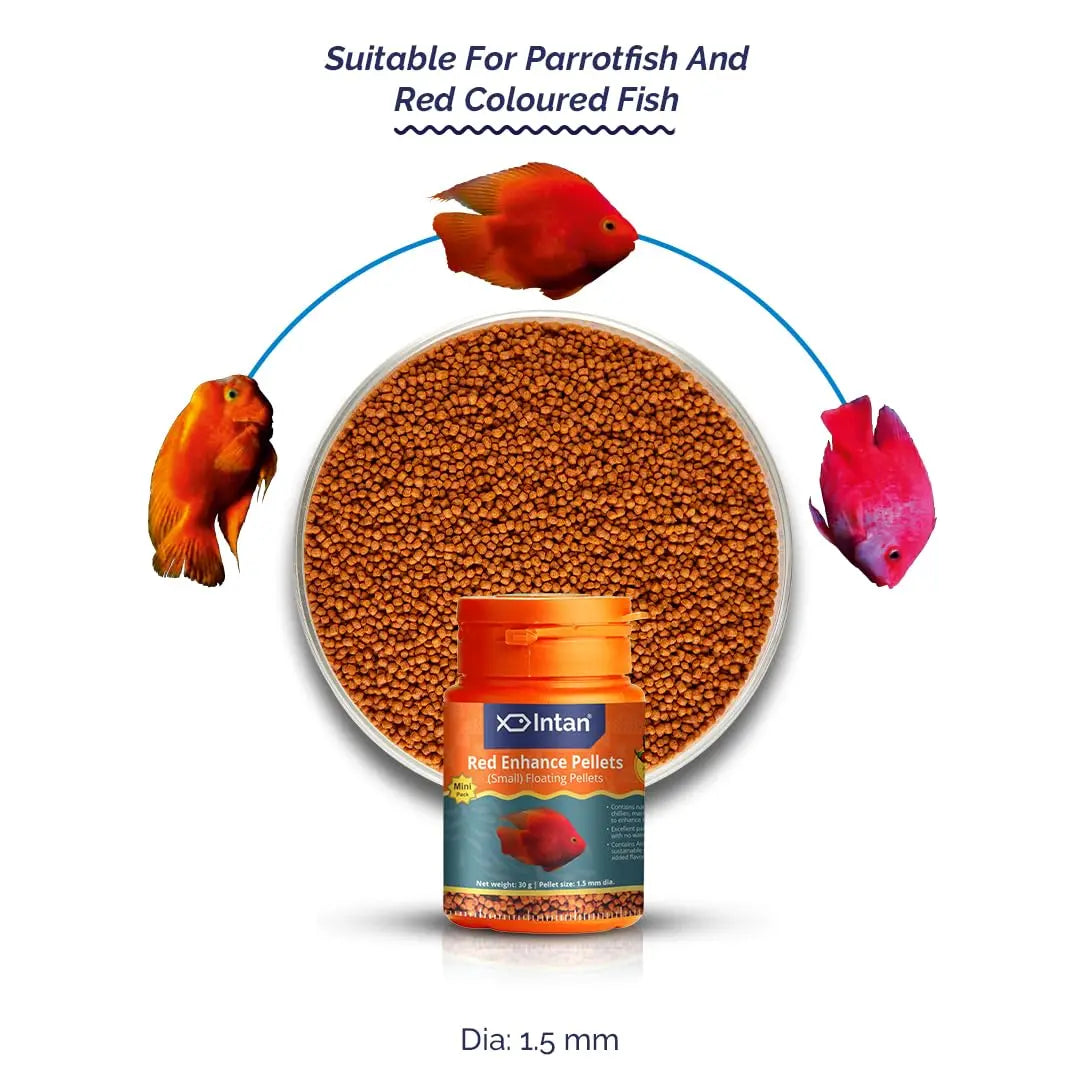 Intan Red Enhance Pellets (Small 1.5mm Floating) | 30gm - Highly Nutritious Ornamental Fish Food for Parrotfish & Red Coloured Fish | Growel Feeds Intan