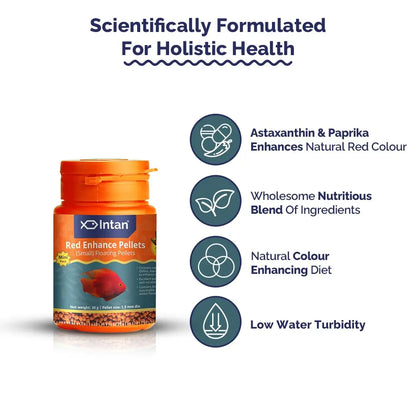 Intan Red Enhance Pellets (Small 1.5mm Floating) | 30gm - Highly Nutritious Ornamental Fish Food for Parrotfish & Red Coloured Fish | Growel Feeds Intan