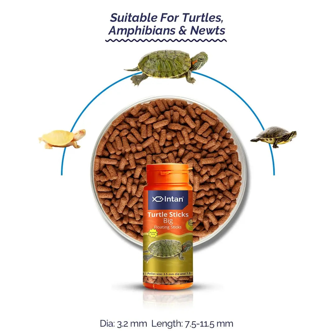 Intan Turtle Sticks (Big 3.2mm x 7.5-11.5mm Floating) | 45gm - Highly Nutritious Ornamental Fish Food for Turtles, Amphibians & Newts | Growel Feeds Intan