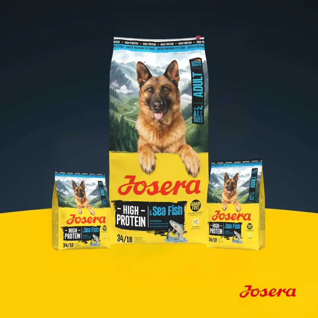 JOSERA Adult High Protein Sea Fish Premium Dry Food for Adult & Sporty Dogs with Salmon & Sweet Potato Grain-Free & Protein Rich (12.5kg x1) Josera
