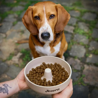 JOSERA Adult High Protein Sea Fish Premium Dry Food for Adult & Sporty Dogs with Salmon & Sweet Potato Grain-Free & Protein Rich (12.5kg x1) Josera