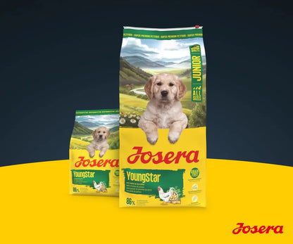 JOSERA Junior YoungStar Chicken & Potatoes (1 x 3 kg) | Dry Food for Medium and Large Breeds | Optimal Nutrition | Grain Free Dry Food | Pack 1 Josera