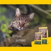 JOSERA NatureCat (1 x 2 kg) | Adult | Premium Dry Food for Adult Cats | Salmon & Poultry | Refined Herbs & Healthy Fruits | Grain Free | Cat Food | Pack of 1 Josera
