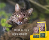 JOSERA NatureCat (1 x 2 kg) | Adult | Premium Dry Food for Adult Cats | Salmon & Poultry | Refined Herbs & Healthy Fruits | Grain Free | Cat Food | Pack of 1 Josera