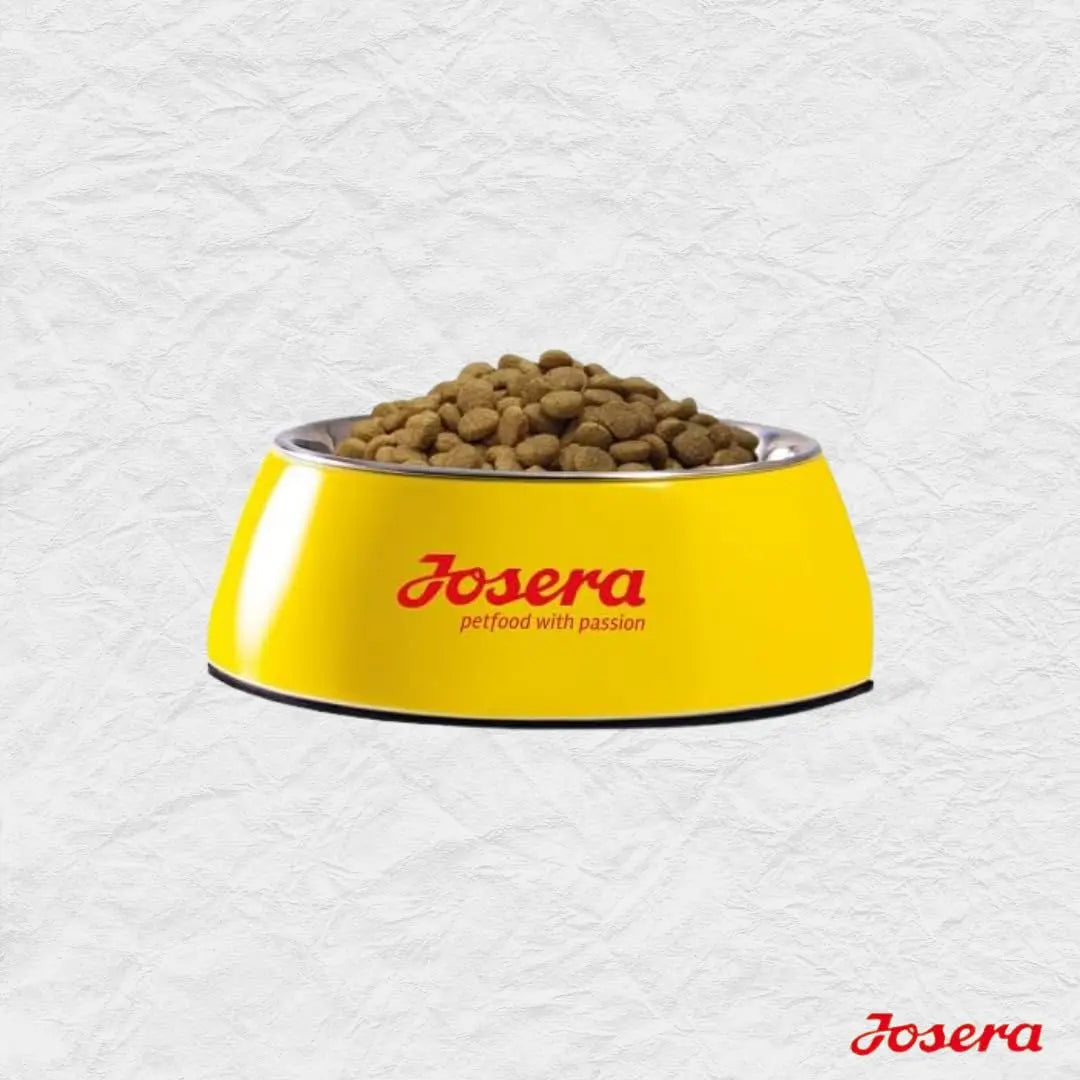 Josera Kitten Grainfree Dry Kitten Food (2kgx1) | 100% Grain Free Poultry Kibble with Salmon Oil | Optimum Growth, Anti-Hairball & Easy to Digest for Kittens & Mother Cats Josera