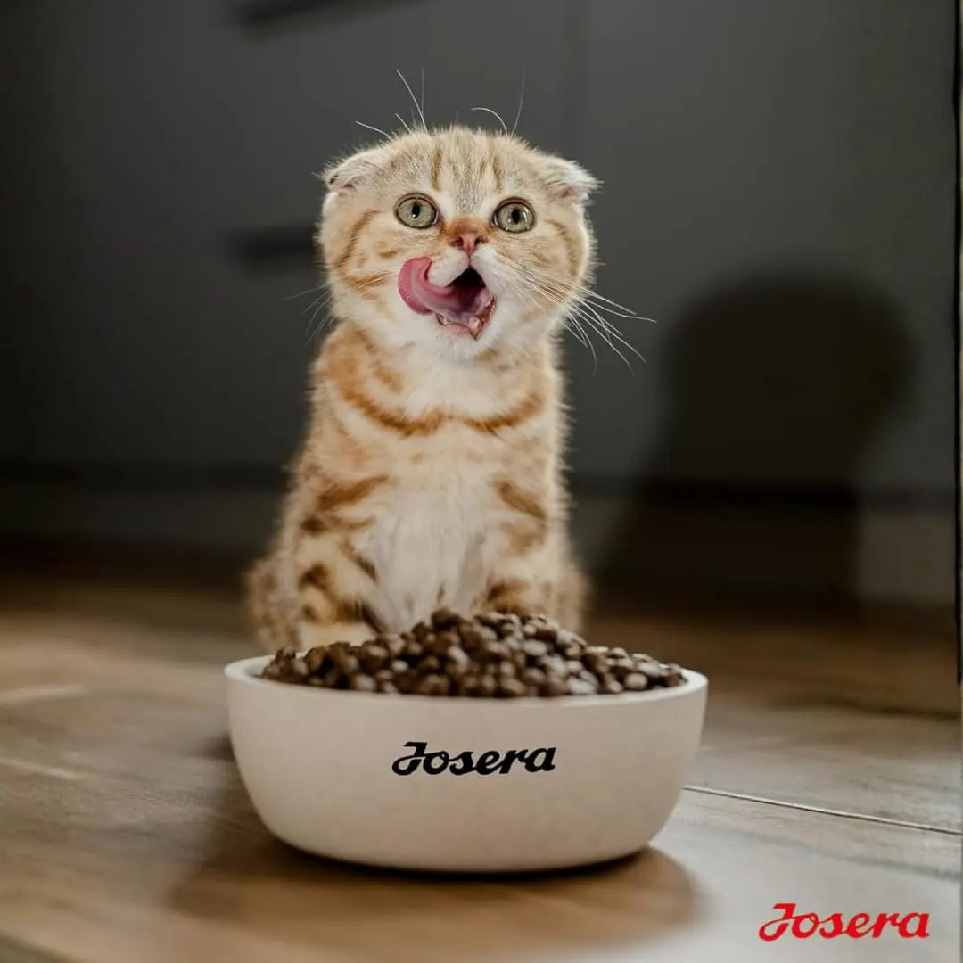 Josera Kitten Grainfree Dry Kitten Food (2kgx1) | 100% Grain Free Poultry Kibble with Salmon Oil | Optimum Growth, Anti-Hairball & Easy to Digest for Kittens & Mother Cats Josera