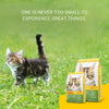 Josera Kitten Grainfree Dry Kitten Food (2kgx1) | 100% Grain Free Poultry Kibble with Salmon Oil | Optimum Growth, Anti-Hairball & Easy to Digest for Kittens & Mother Cats Josera