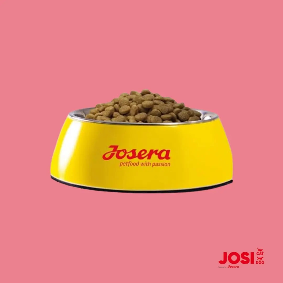 JosiCat Kitten Junior Dry Cat Food (1.9kgx1) | Powered by Josera | High Energy Kibble with Salmon Oil & Taurine for Growing & Lactating Cats | Easy to Digest Josera