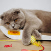 JosiCat Kitten Junior Dry Cat Food (1.9kgx1) | Powered by Josera | High Energy Kibble with Salmon Oil & Taurine for Growing & Lactating Cats | Easy to Digest Josera