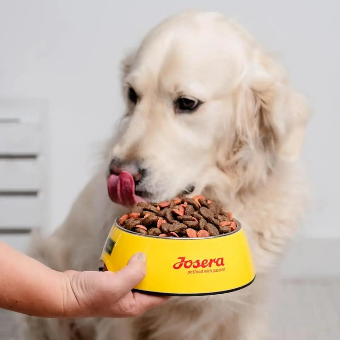 JosiDog Active Adult Dry Dog Food, (2.7kgx1) | High Protein Kibble for Active Dogs | Complete & Balanced Poultry Formula for Energy, Vitality & Digestive Health | Gluten Free Josera