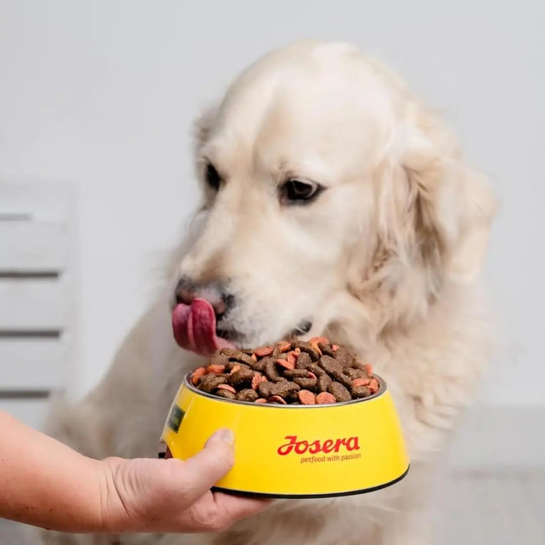 JosiDog Junior Sensitive | Junior (2.7kg x 1) | Premium Dry Food for Growing, Sensitive Dogs | Puppy Food from the 8th Week | Well Tolerated | Powered by Josera | Dog Food Josera