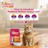 Mankind PetStar Kitten Cat Food – Salmon Flavour (1 Kg) | Complete & Balanced Nutrition for Healthy Growth, Urinary, Immune & Digestive Support PETSTAR