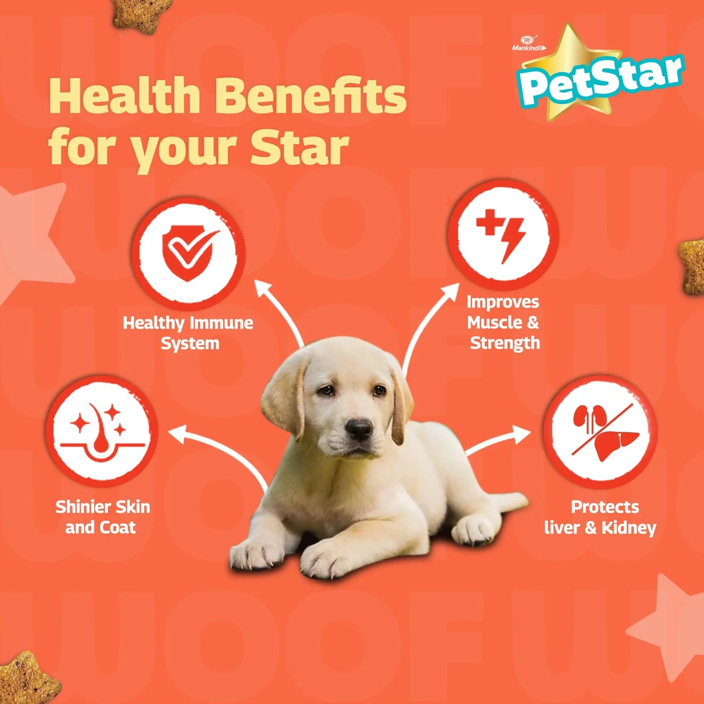 Mankind Petstar Puppy Dry Dog Food (High Protein) Chicken & Wheat Flavor, 10kg | Improves Muscle & Strength, Supports Immunity, Protects Liver & Kidney PETSTAR