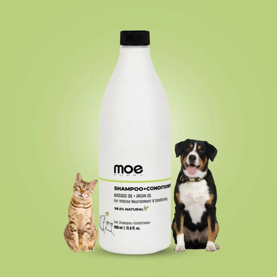 Moe 2-in-1 Shampoo & Conditioner | Sulfate & Paraben-Free | Conditioner for Dogs & Cats (900 ML) Moe Puppy