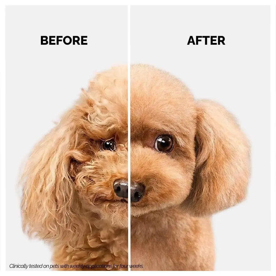 Moe 2-in-1 Shampoo & Conditioner | Sulfate & Paraben-Free | Conditioner for Dogs & Cats (900 ML) Moe Puppy