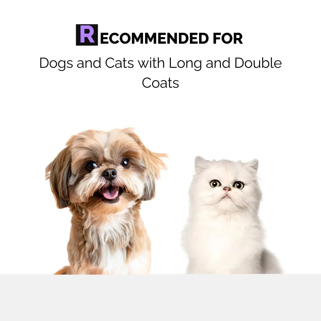 Moe Keratin Plus Pet Shampoo for Repair and Strengthening Damaged Fur| Natural Pet Shampoo Made with Plant Based Ingredients | Sulfate & Paraben Free, pH Balanced for Pets (900 ML) Moe Puppy