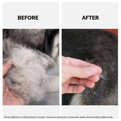 Moe Keratin Plus Pet Shampoo for Repair and Strengthening Damaged Fur| Natural Pet Shampoo Made with Plant Based Ingredients | Sulfate & Paraben Free, pH Balanced for Pets (900 ML) Moe Puppy