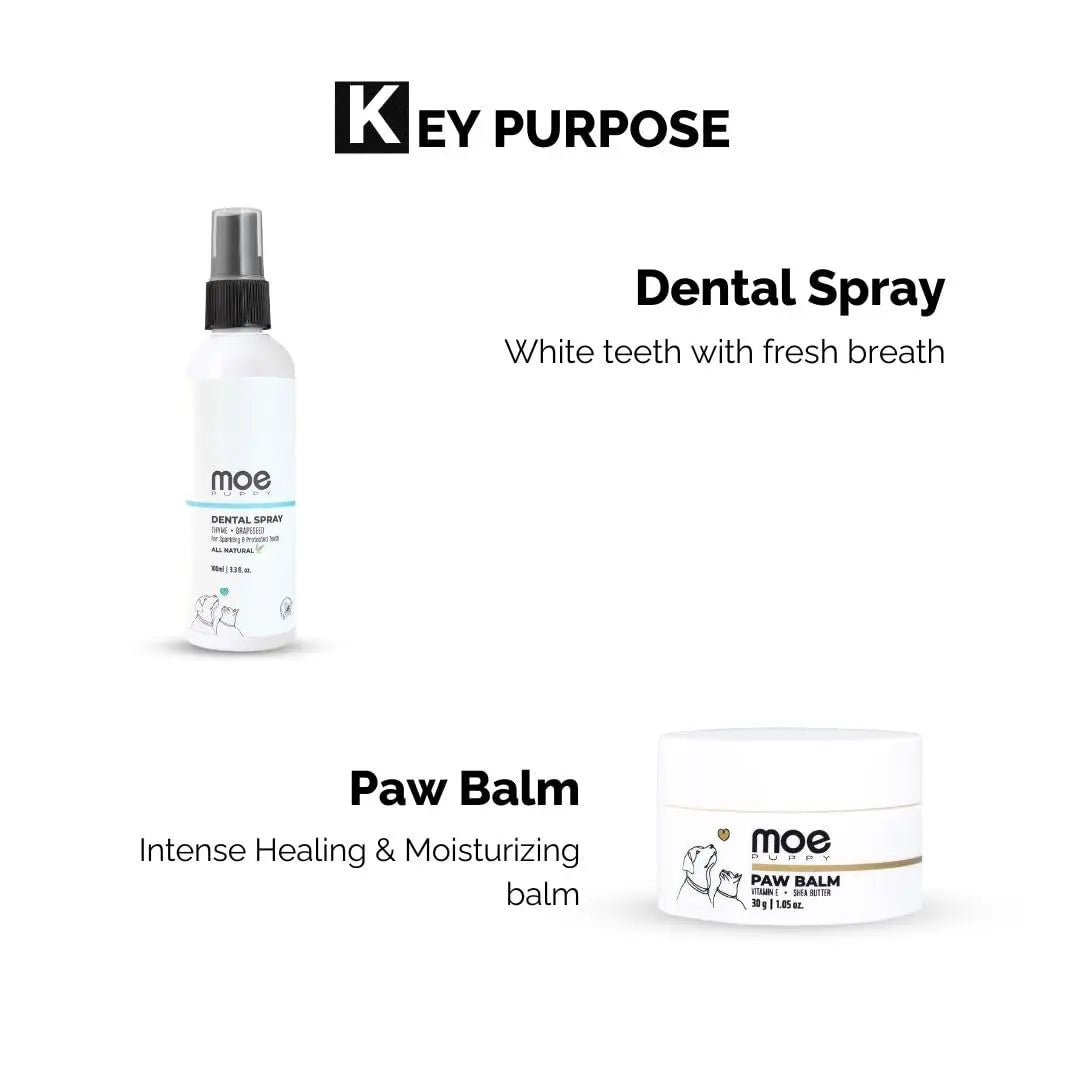 Moe Puppy 6-Month Pet Grooming Kit Combo – Xtra Nourish Dog & Cat Shampoo (900ml), Dental Spray (100ml), Ear Cleaner (100ml), Paw Balm (30g) – All-in-One Grooming Essentials for Dogs & Cats Moe Puppy
