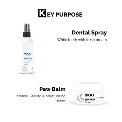 Moe Puppy 6-Month Pet Grooming Kit Combo – Xtra Nourish Dog & Cat Shampoo (900ml), Dental Spray (100ml), Ear Cleaner (100ml), Paw Balm (30g) – All-in-One Grooming Essentials for Dogs & Cats Moe Puppy