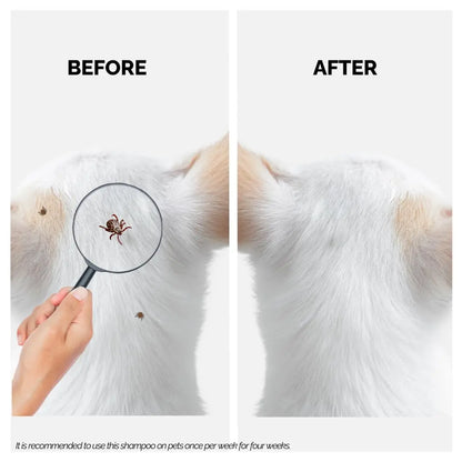 Moe Puppy Anti-Tick & Flea Dog Shampoo | Neem & Aloe Vera | Fast Relief & Soothing for Itching | Repel Ticks| Long-Lasting Skin Protection | Vet Recommended, Gentle Shampoo for Dogs & Cats(200 ml) Moe Puppy