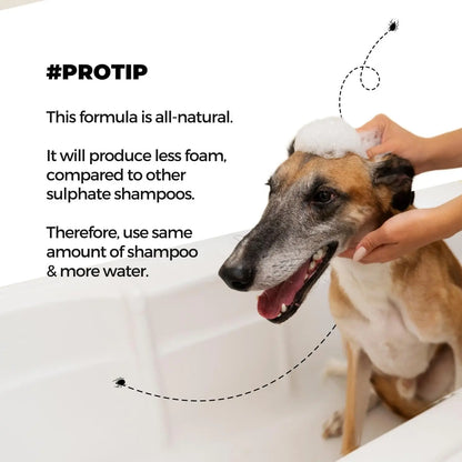 Moe Puppy Anti-Tick & Flea Dog Shampoo | Neem & Aloe Vera | Fast Relief & Soothing for Itching | Repel Ticks| Long-Lasting Skin Protection | Vet Recommended, Gentle Shampoo for Dogs & Cats(300 ml) Moe Puppy