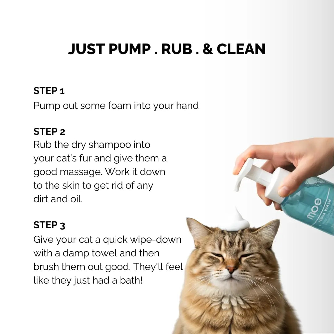 Moe Puppy Dry Shampoo for Cats | Cleansing & Conditioning, Detangling & Moisturizing | Quick Odor Removal | Safe for Kittens (300 ml) Moe Puppy