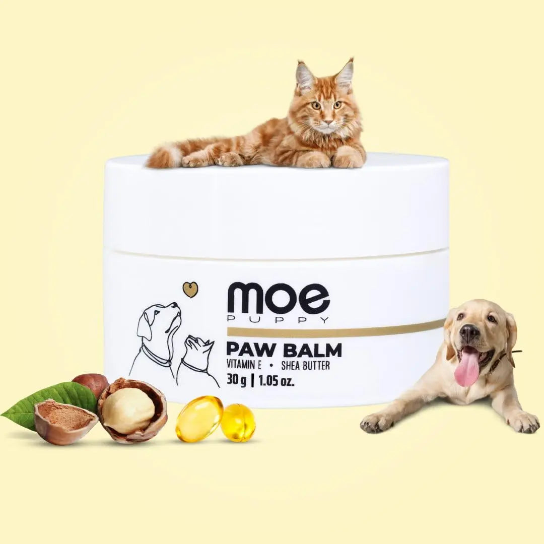 Moe Puppy Natural Paw Balm for Dogs & Cats | Lick Safe Paw Balm for Cracked & Dry Paws and Nose | Heals, Repairs & Moisturizes Paws, Elbows & Dry Itchy Nose (30 g) (Pack of 1) Moe Puppy