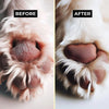 Moe Puppy Natural Paw Balm for Dogs & Cats | Lick Safe Paw Balm for Cracked & Dry Paws and Nose | Heals, Repairs & Moisturizes Paws, Elbows & Dry Itchy Nose (30 g) (Pack of 1) Moe Puppy