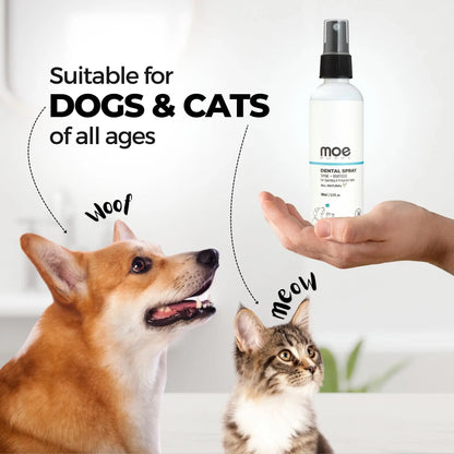 Moe Puppy Vet Recommended Dental Spray for Dogs & Cats | Bad Breath Control, Plaque & Tartar Removal & Gum Health | Peppermint Freshness | Long-Lasting Oral Care, Safe Daily Use (100 ml) Moe Puppy
