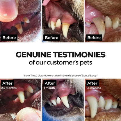 Moe Puppy Vet Recommended Dental Spray for Dogs & Cats | Bad Breath Control, Plaque & Tartar Removal & Gum Health | Peppermint Freshness | Long-Lasting Oral Care, Safe Daily Use (100 ml) Moe Puppy