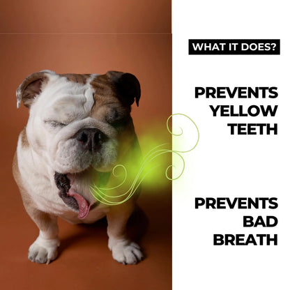 Moe Puppy Vet Recommended Dental Spray for Dogs & Cats | Bad Breath Control, Plaque & Tartar Removal & Gum Health | Peppermint Freshness | Long-Lasting Oral Care, Safe Daily Use (100 ml) Moe Puppy