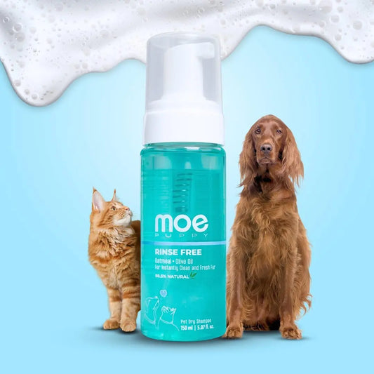 Moe Puppy Waterless Dry Shampoo for Dogs & Cats | Cleansing & Conditioning, Detangling & Moisturizing | Quick Odor Removal | Safe for Puppies & Kittens (150 ml) Moe Puppy