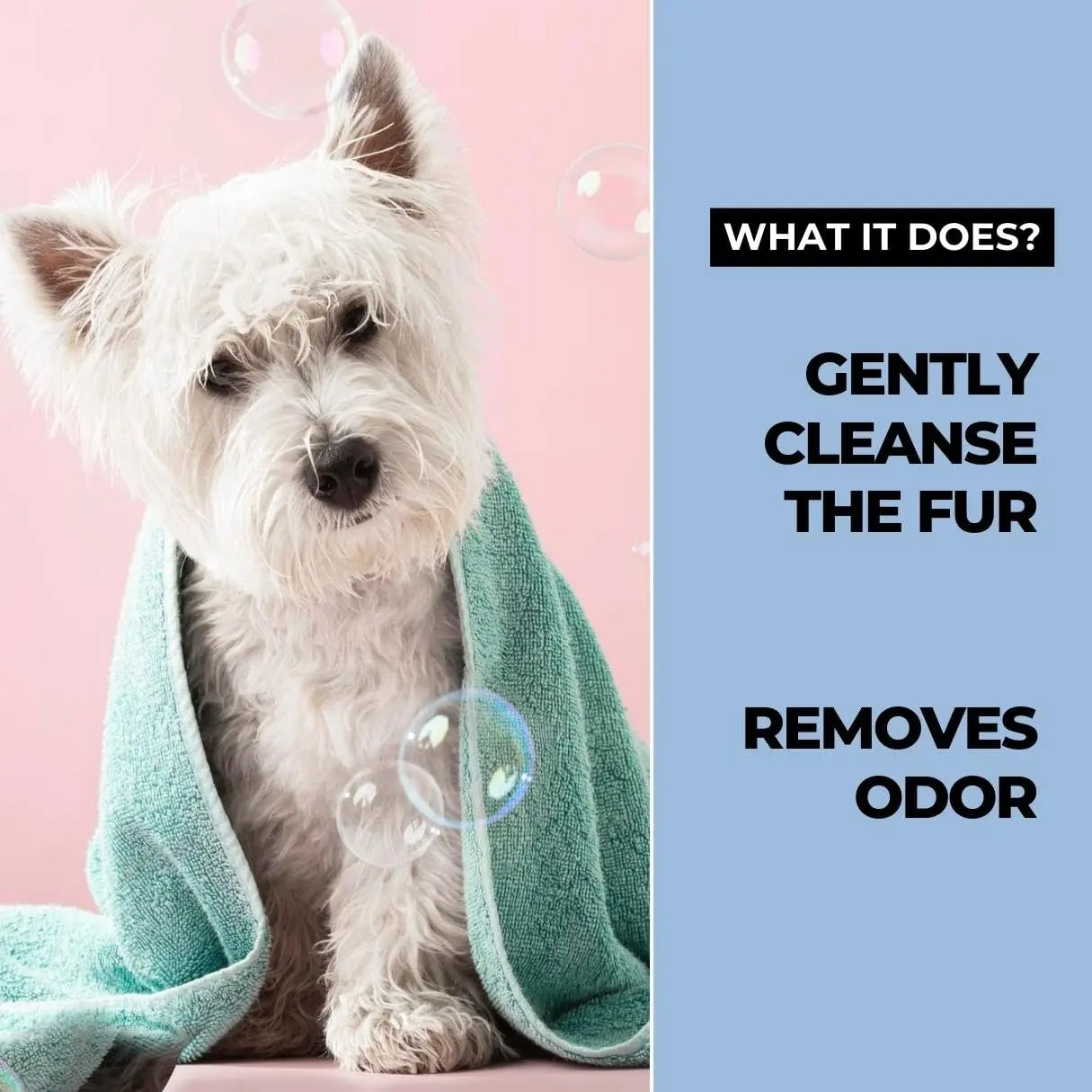 Moe Puppy Waterless Dry Shampoo for Dogs & Cats | Cleansing & Conditioning, Detangling & Moisturizing | Quick Odor Removal | Safe for Puppies & Kittens (300 ml) Moe Puppy