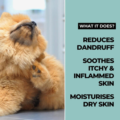 Moe Puppy Xtra Nourish Medicated Dog & Cat | Anti-Itch Skin Relief | Herbal Dog Shampoo | Antifungal & Antibacterial | Gentle Formula of Dead Sea Salt & 3 Essential Oil & Nourishing Formula (300ml) Moe Puppy
