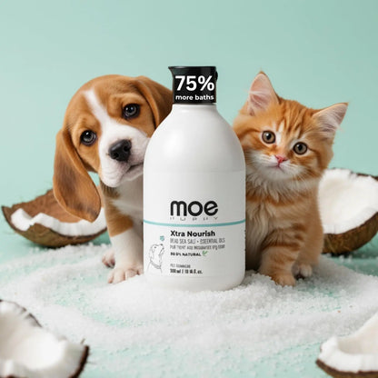 Moe Puppy Xtra Nourish Medicated Dog & Cat | Anti-Itch Skin Relief | Herbal Dog Shampoo | Antifungal & Antibacterial | Gentle Formula of Dead Sea Salt & 3 Essential Oil & Nourishing Formula (300ml) Moe Puppy