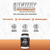 NUTRELA Sports Whey Performance Protein Powder - 1kg - Irish Chocolate Flavor NUTRELA