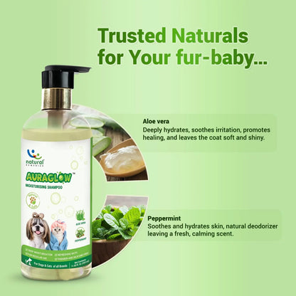 Natural Remedies Aura Glow Moisturizing Shampoo for Dogs, Cats & Pups of All Breeds, Softness and Bounce, Aloe Vera & Peppermint Infused, Long-Lasting Hydration, Moisturizing & Conditioning - 350 ml Natural Remedies