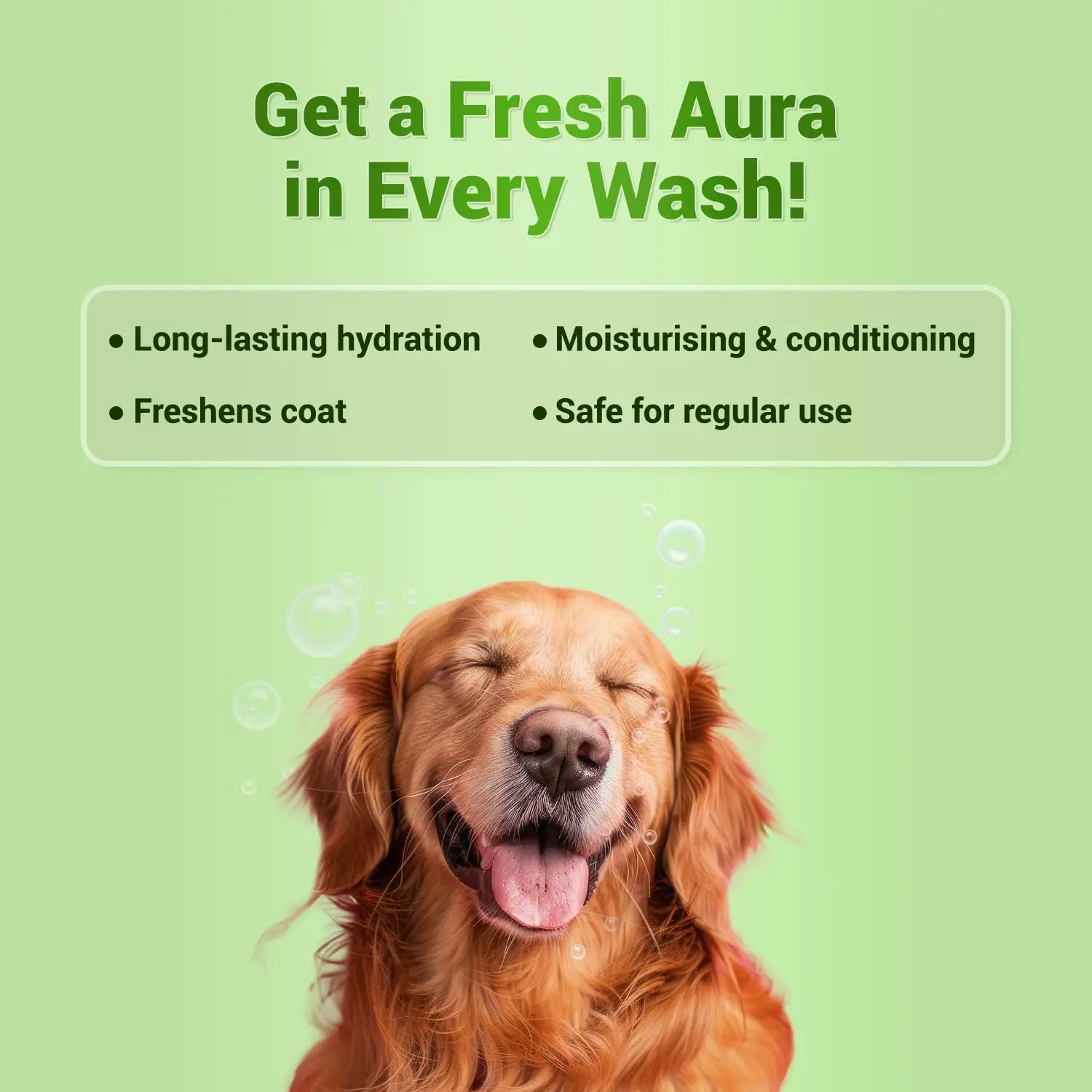 Natural Remedies Aura Glow Moisturizing Shampoo for Dogs, Cats & Pups of All Breeds, Softness and Bounce, Aloe Vera & Peppermint Infused, Long-Lasting Hydration, Moisturizing & Conditioning - 350 ml Natural Remedies
