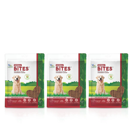 Natural Remedies Derma Bites - Soft Chews Long Sticks for Dogs & Puppies, Supports Healthy Skin & Coat, Gluten-Free, Strawberry Flavor, Easily Digestible Treats for All Life Stages, 75g (Pack of 3) Natural Remedies