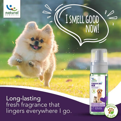 Natural Remedies Fresh Me Up Mild Waterless Foam Cleanser Dry Shampoo for Dogs, Cats & Pups of All Breeds, Moisturizer & Conditioner, Daily Use, Lick Safe, Natural and Safe, 450 Ml (Pack of 1) Natural Remedies