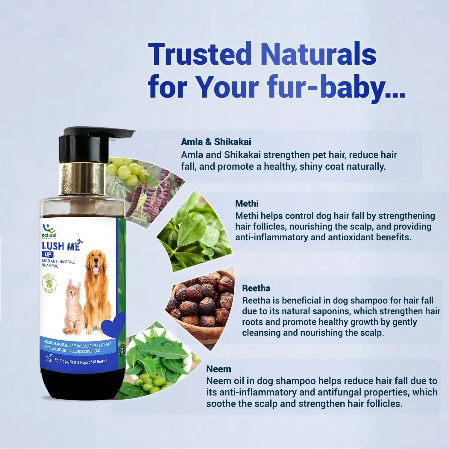 Natural Remedies Fresh Me Up Waterless Foam Cleanser (450ml) & Lush Me Up Anti-Hairfall Shampoo (350ml), Pet Grooming, Odor Control, Hypoallergenic, Safe for Dogs, Cats of All Breeds (Combo Pack of 2) Natural Remedies