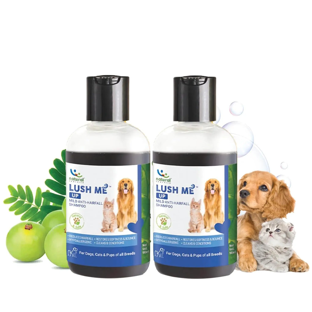 Natural Remedies Lush Me Up Mild Anti-Hairfall Shampoo for Dogs, Cats & Pups of All Breeds, Reduces Hair Fall & Restore Softness and Bounce, Hypoallergenic, Paraben Free (90 ml Each, Pack of 2) Natural Remedies